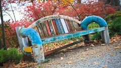 Nature bench