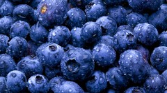 Nature Berries fruits