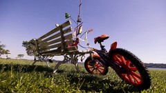 Nature Bicycles grass fields