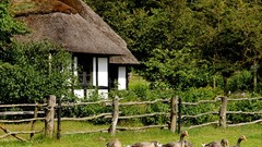 Nature Birds geese Wooden fence houses fences