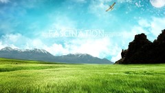 Nature Birds moon fields