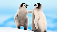 Nature Birds Penguins emperor