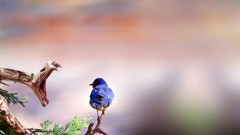 Nature Birds snakes wildlife depth of field