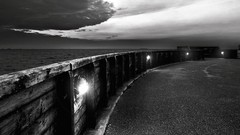 Nature black and white