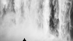 Nature black and white