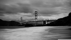 Nature black and white San Francisco Bridges