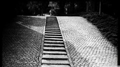 Nature black and white stairs stairways
