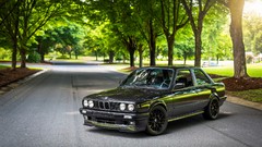 Nature black BMW E30