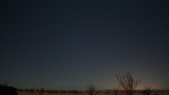 Nature black dawn dark