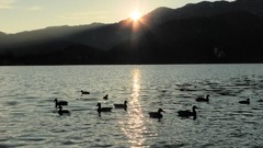 Nature Bled Sunshine Village