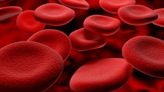 Nature blood blood cells