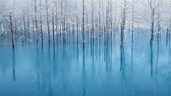 Nature blue ice macintosh forests ponds apple inc