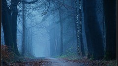 Nature blue morning Photographers tour