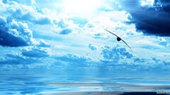 nature blue Sea Birds seagulls clouds cyan