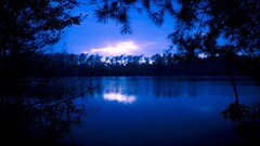 nature blue water Trees landscape