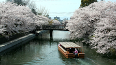 Nature Boats vehicles rivers