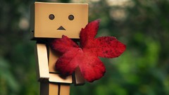 Nature bokeh danboard artwork