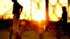 Nature bokeh sunlight national geographic cricket