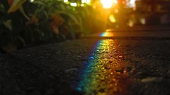 Nature bokeh sunlight rainbows ground hardscapes