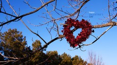 Nature branches Hearts