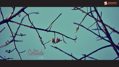 Nature branches Typography solitude Smashing magazine