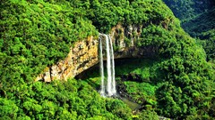 Nature Brazil falls forests