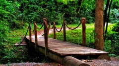 Nature Bridges