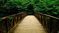 Nature Bridges