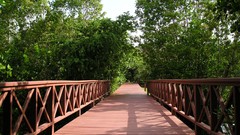 Nature Bridges architecture