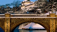 Nature Bridges architecture