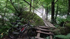 Nature Bridges Bicycles forests motorbikes