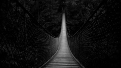 Nature Bridges monochrome architecture
