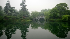 Nature Bridges reflections