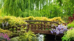 Nature Bridges rivers