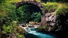 Nature Bridges rivers