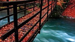 Nature Bridges rivers