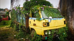 Nature broken trucks vehicles