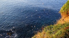 Nature Bulgaria Black Sea