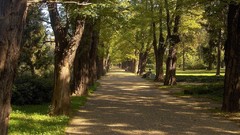 Nature Bulgaria Rousse-The City