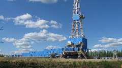 Nature Butterflies Green mushrooms forests