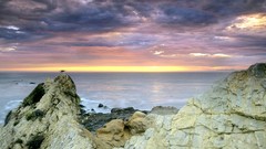 Nature California Verde