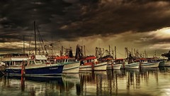 Nature calm Boats morning reflections urban