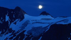 Nature Canada British Columbia hanging