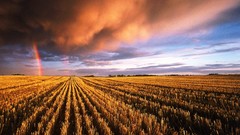 Nature Canada rainbows