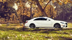 Nature cars Mercedes-Benz vehicles CLS white cars Mercedes Benz 