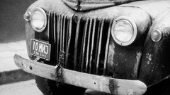 Nature cars veterans