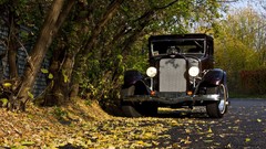 Nature cars vintage cars