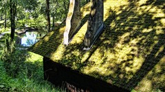 Nature Castles romania Bran Castle