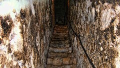 Nature Castles romania Bran Castle