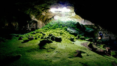 Nature cave